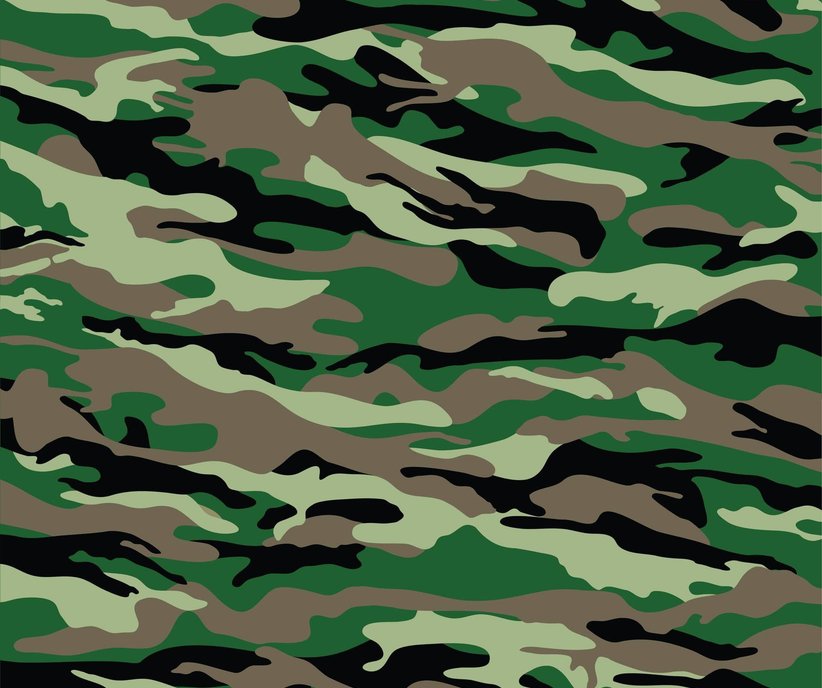 Junk removal service background