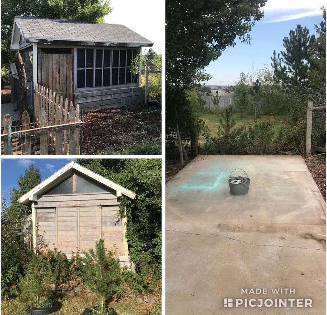 light demolition and construction debris removal